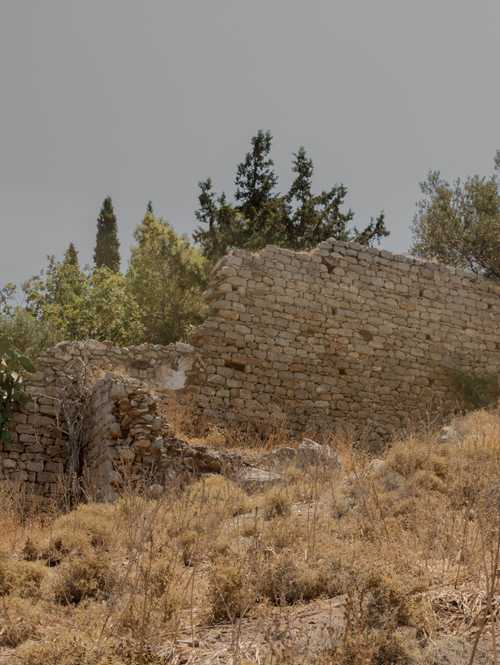 hydra_09