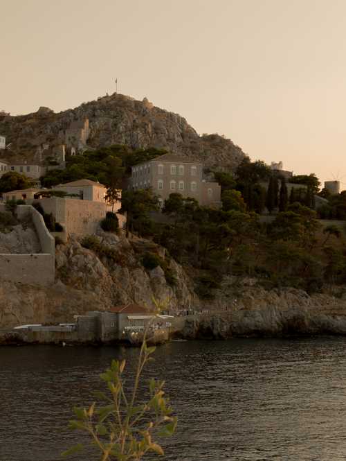 hydra_04