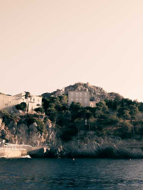 hydra_01